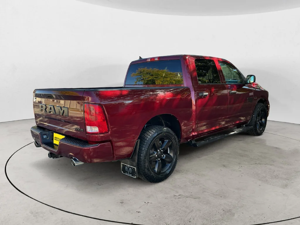 Used 2020 Red Ram Express image 8