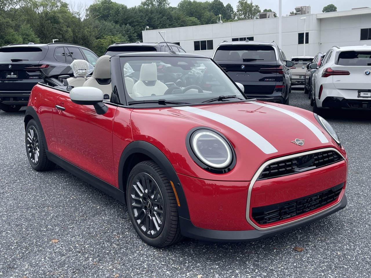 New 2026 Chili Red II MINI SIGNATURE PLUS image 3