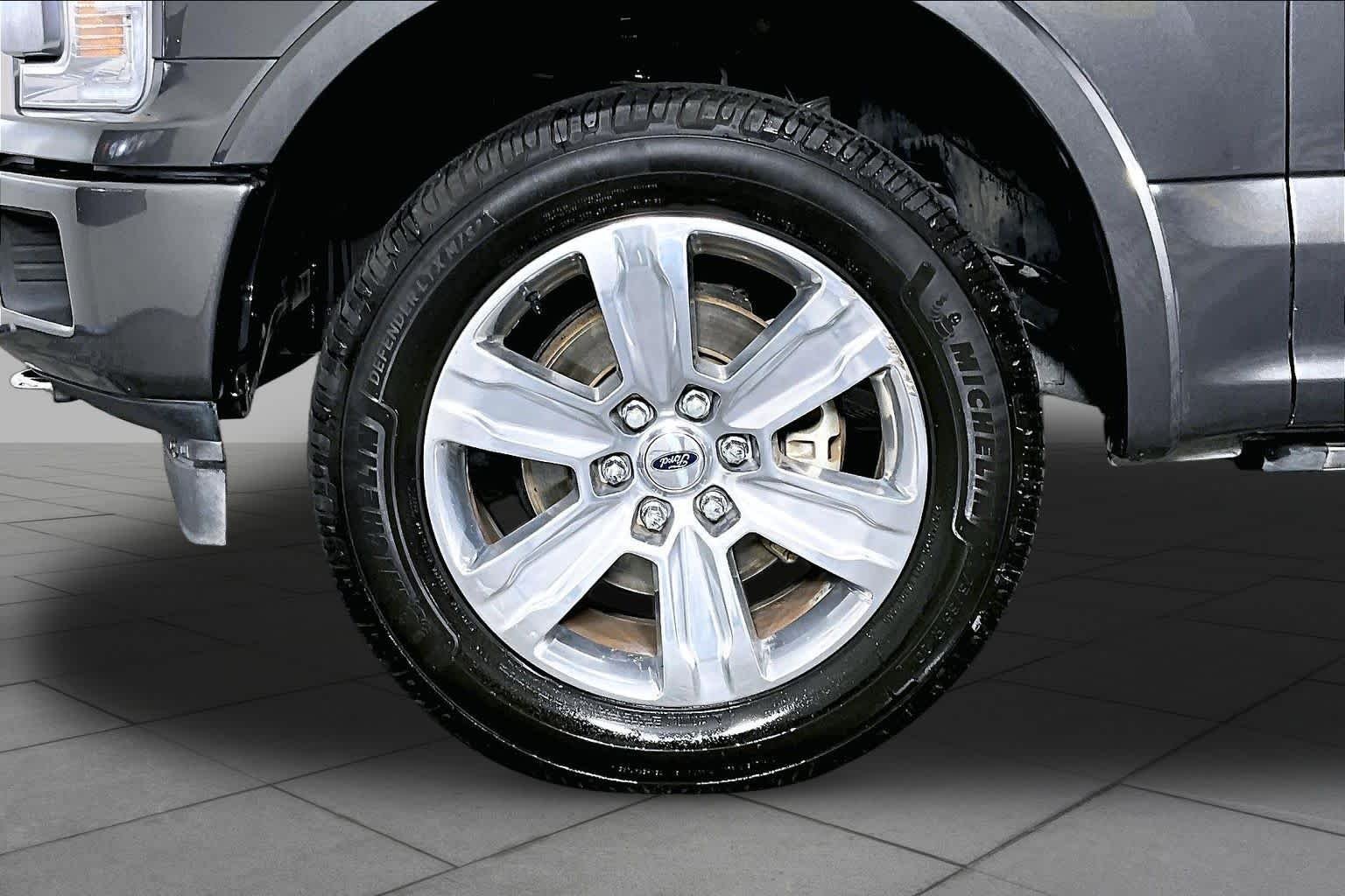 Used 2018 Magnetic Metallic Ford Platinum image 10
