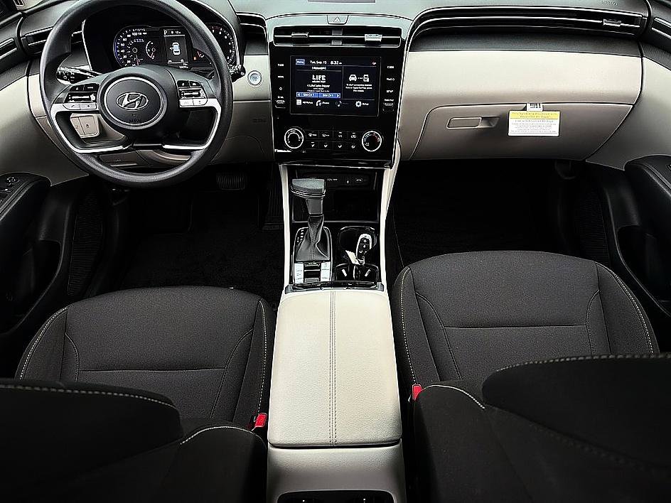 Used 2023 Serenity White Pearl Hyundai SEL image 7