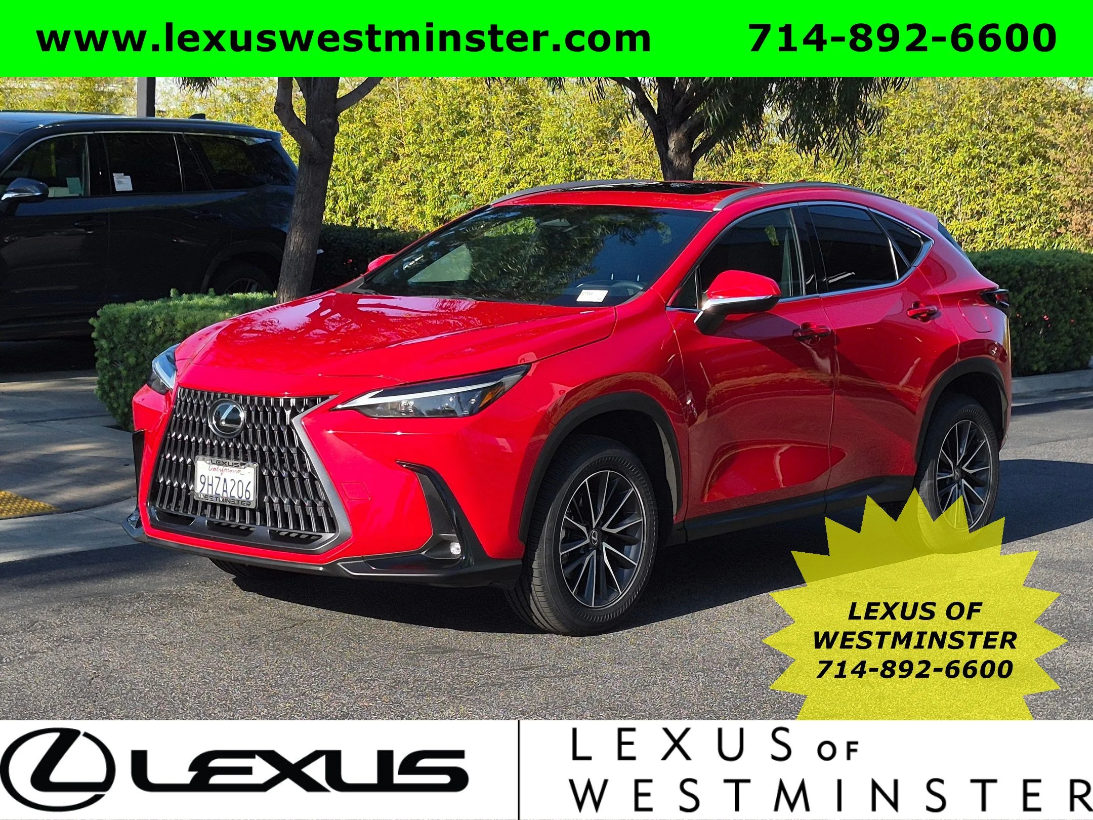 2024 Lexus NX
