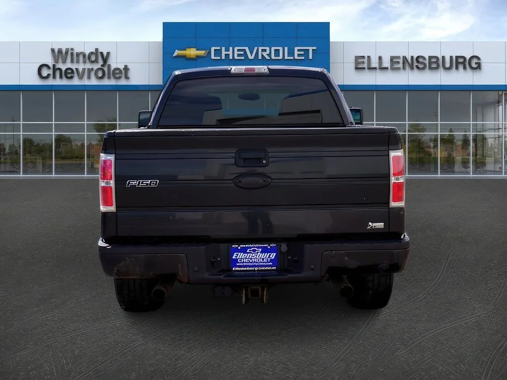 2010 Ford F-150 Platinum - Photo 6