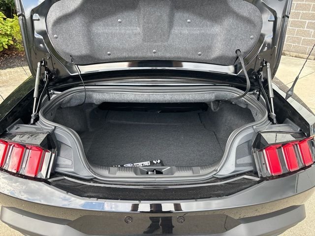 New 2025 Shadow Black Ford EcoBoost Premium image 11