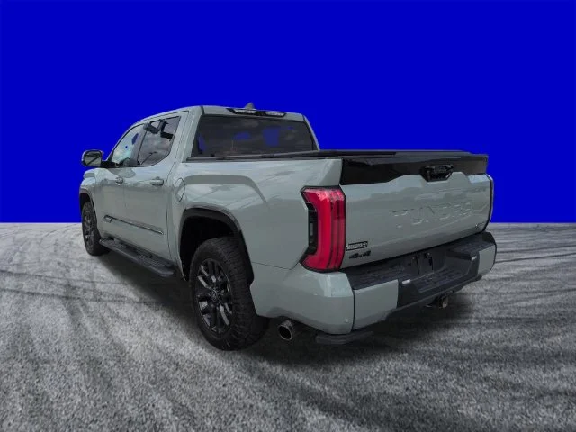 Certified Used 2025 Lunar Rock Toyota Platinum image 6