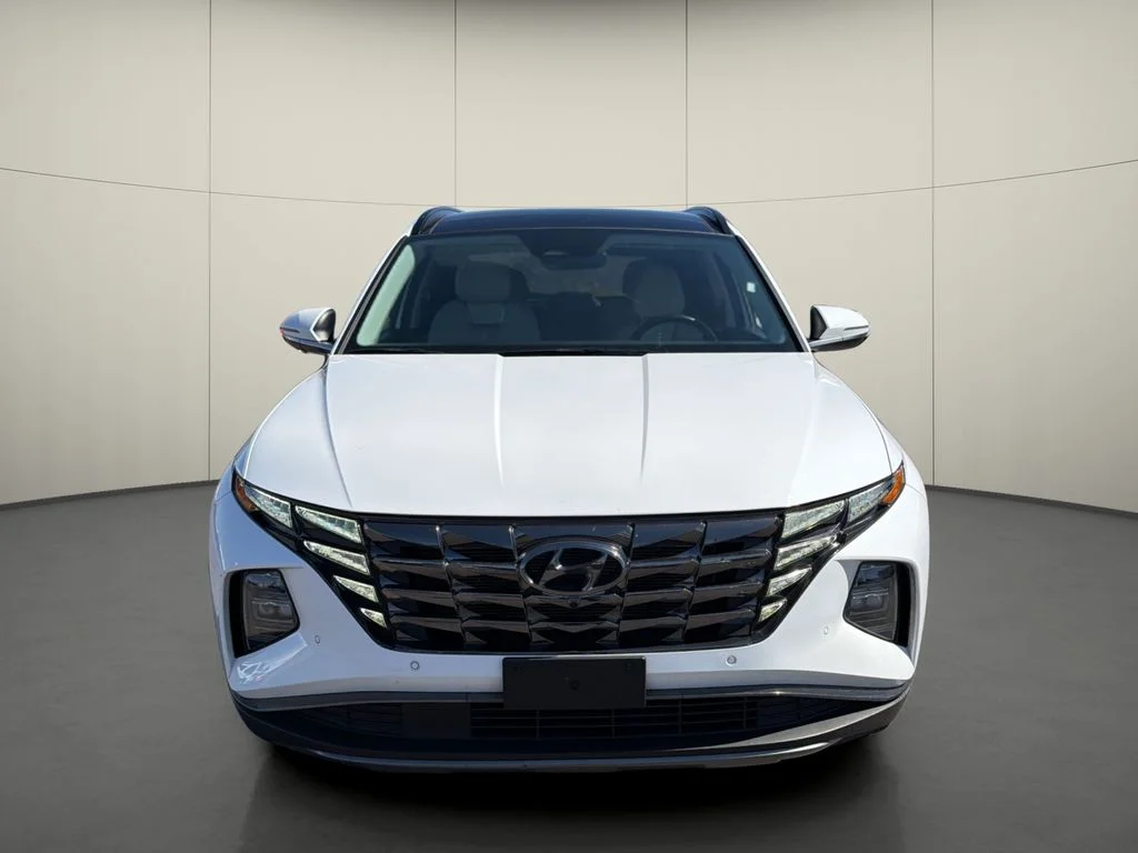 Used 2024 White Hyundai Limited image 2
