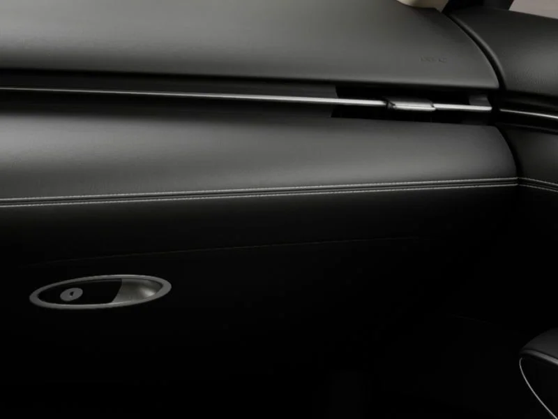 New 2026 Vik Black Genesis 2.5T image 25