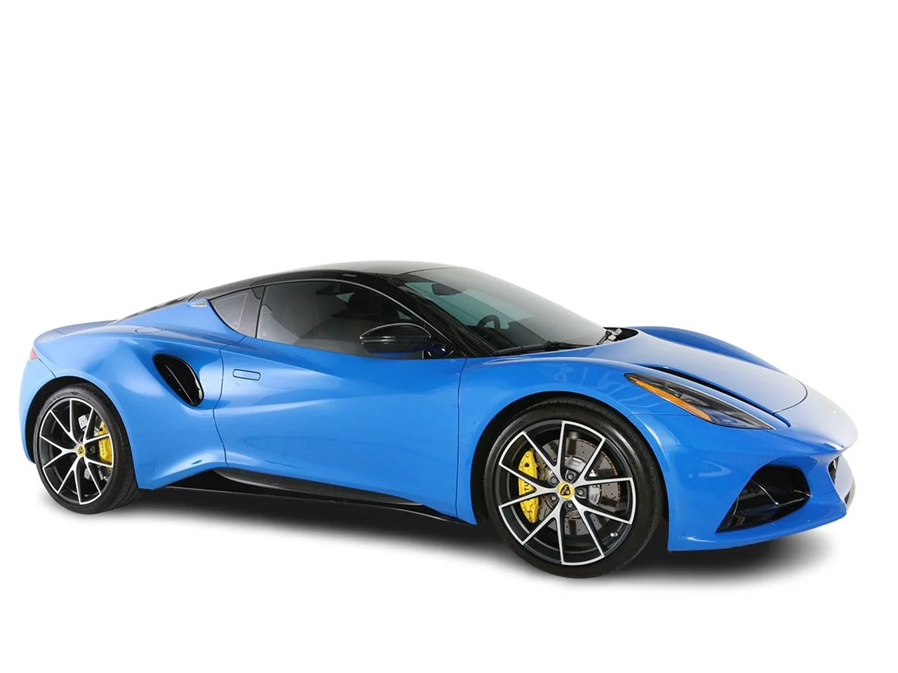 Used 2024 Blue Lotus  image 5