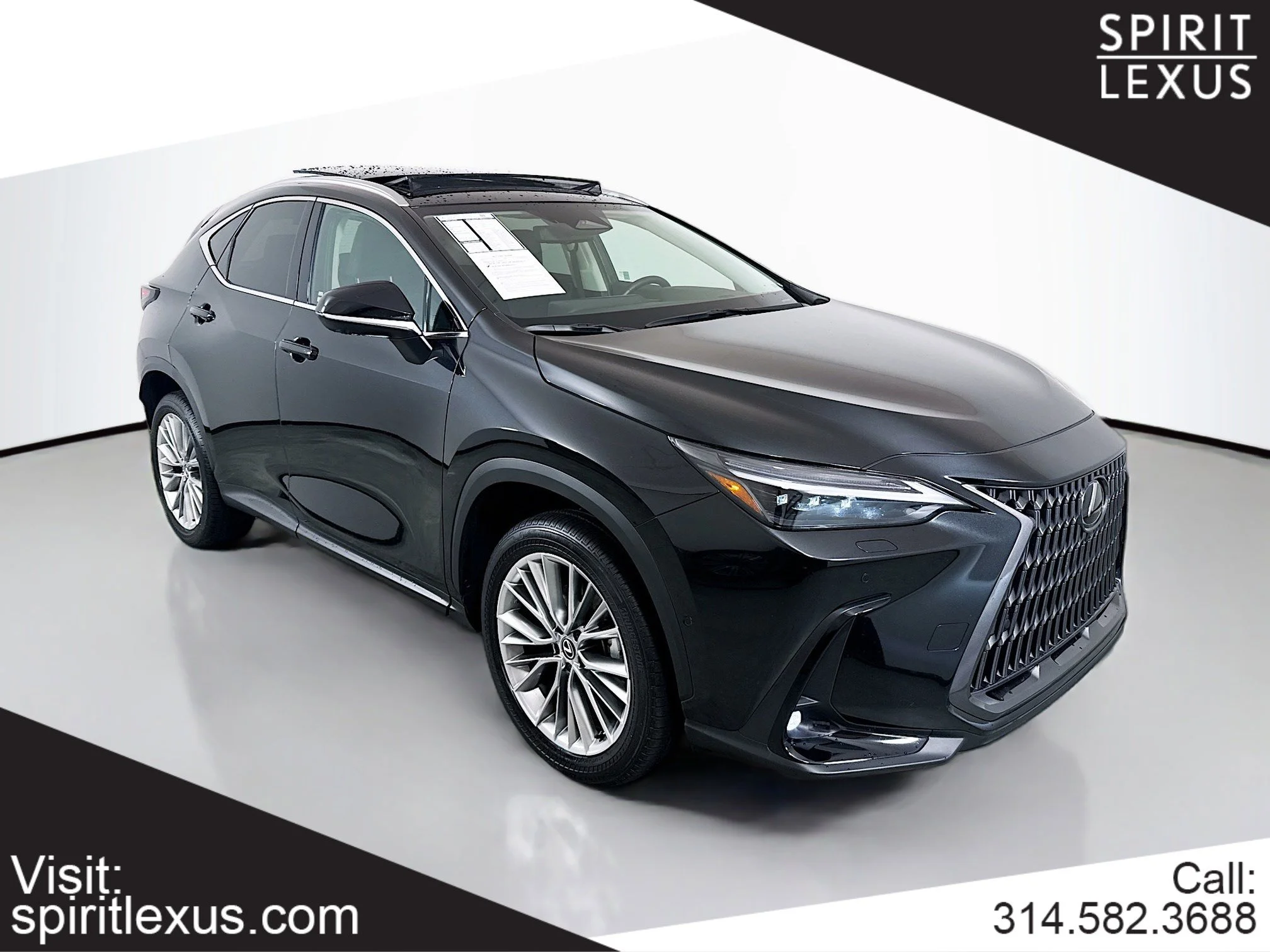 2025 Lexus NX 350h 350h Luxury AWD's photo