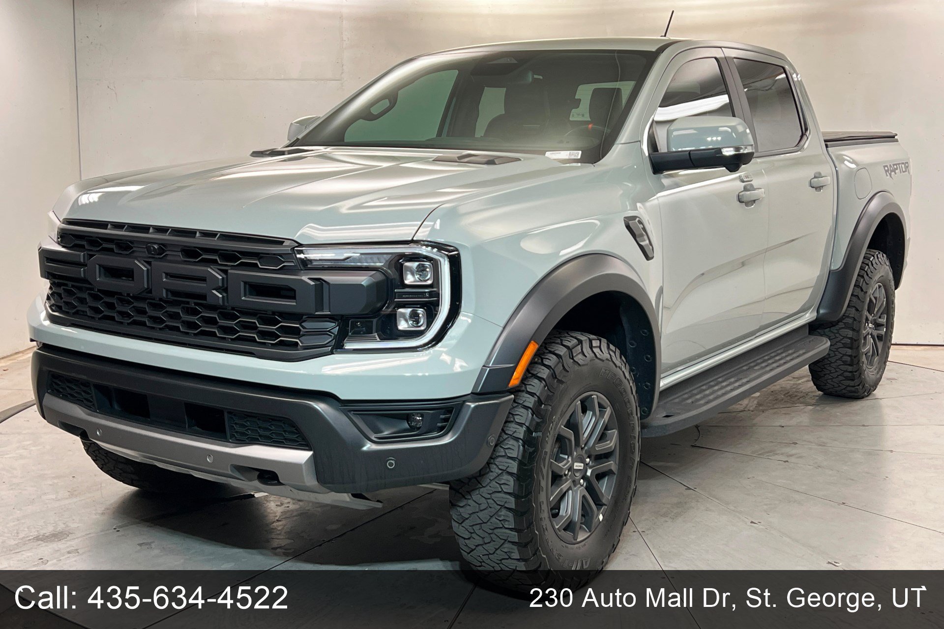 Used 2024 CACTUS GRAY Ford Raptor image 1