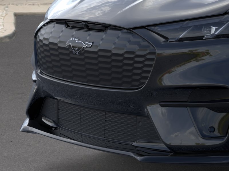 New 2026 Shadow Black Ford Premium image 41