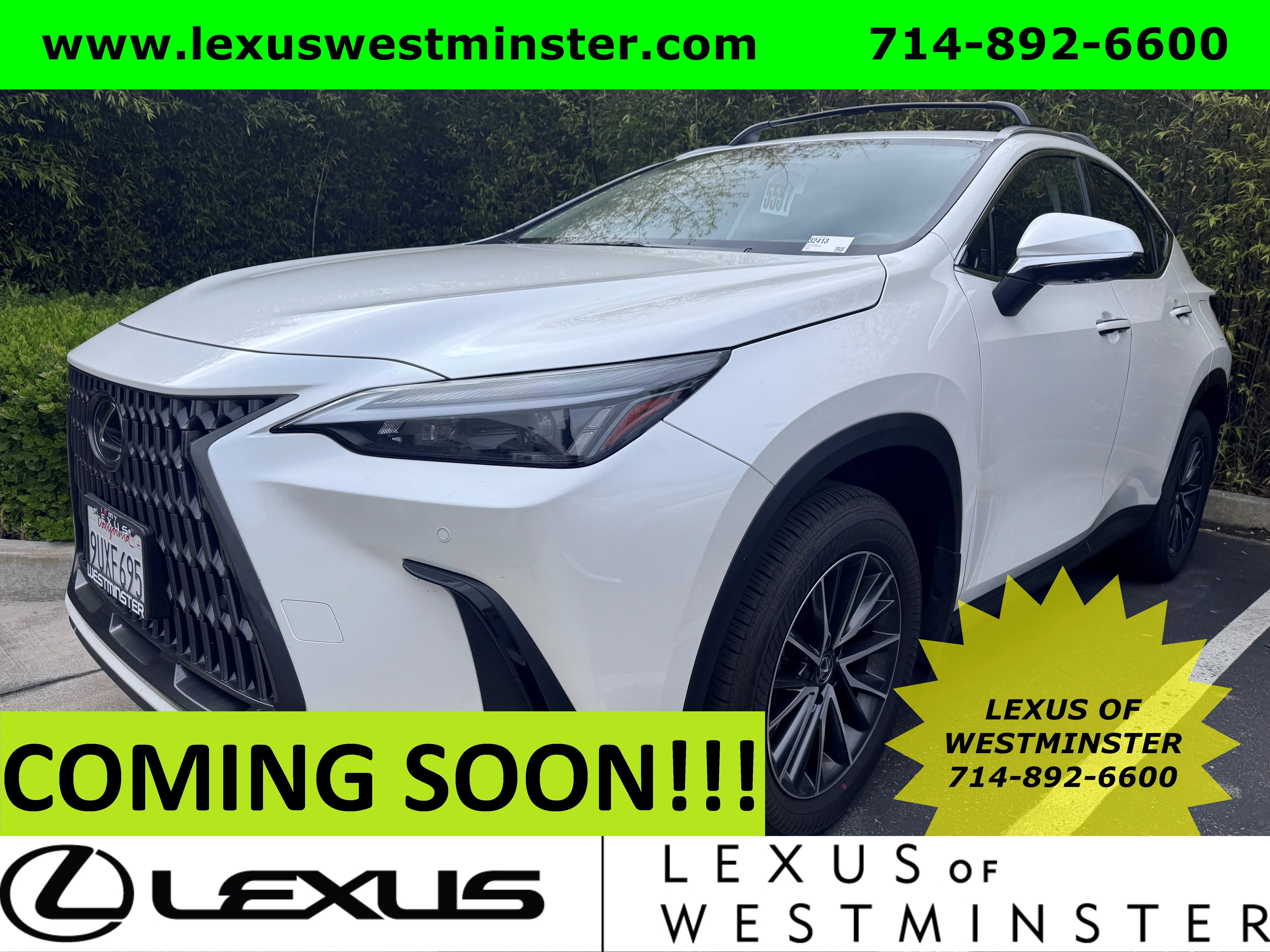 2025 Lexus NX 350h 350h Premium AWD's photo