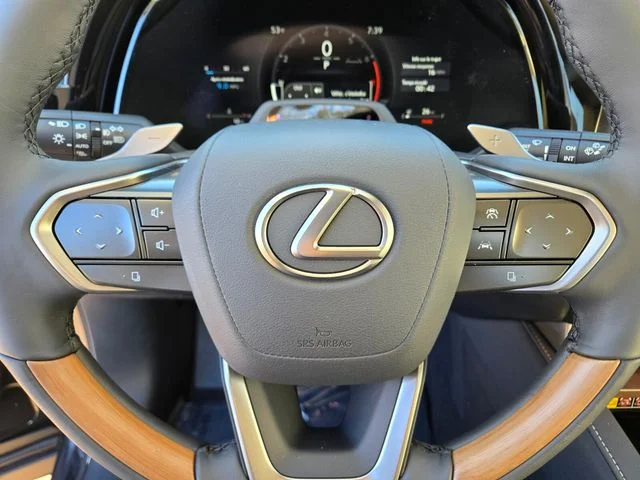 2026 Lexus RX 350 Luxury - Photo 13