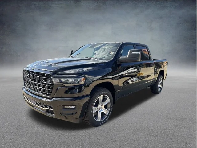 New 2026 Diamond Black Crystal Pearl-Coat Exterior Paint RAM Express image 8