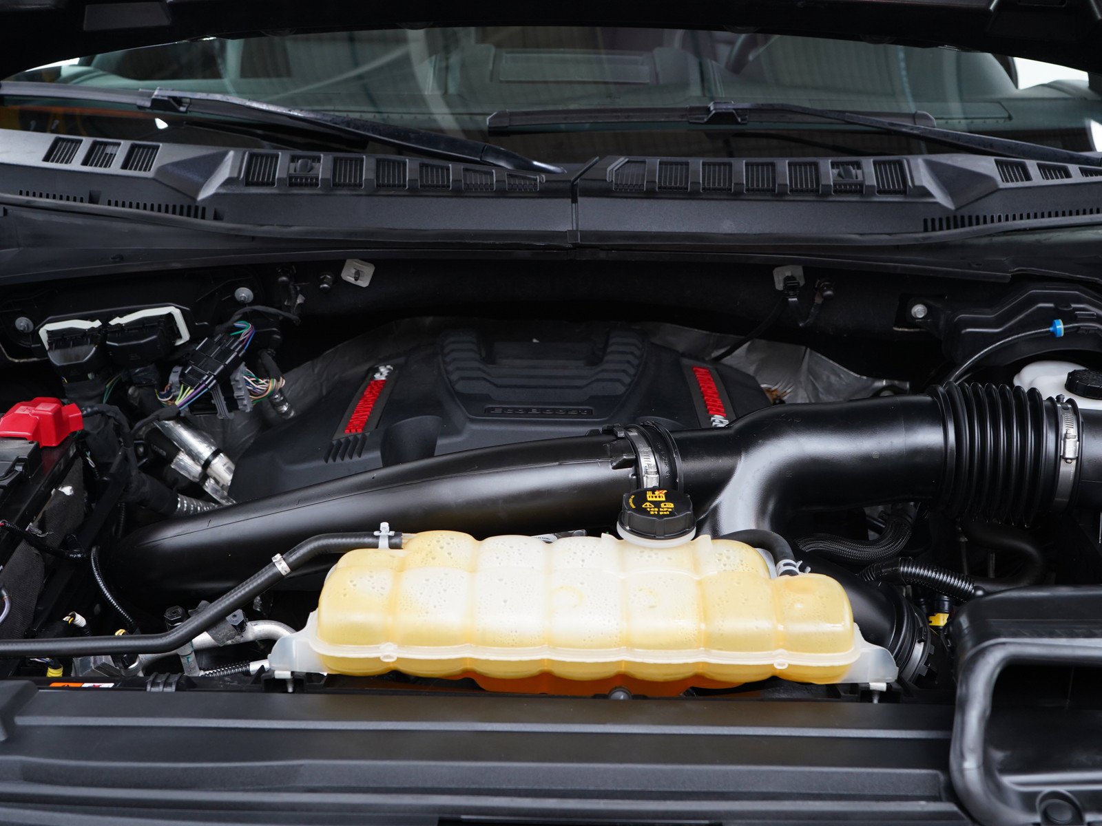 Used 2019 Magnetic Ford Raptor image 34