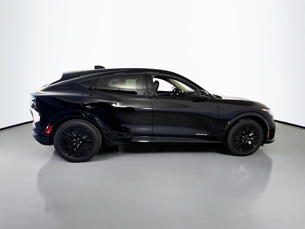 New 2026 Shadow Black Ford Premium image 8
