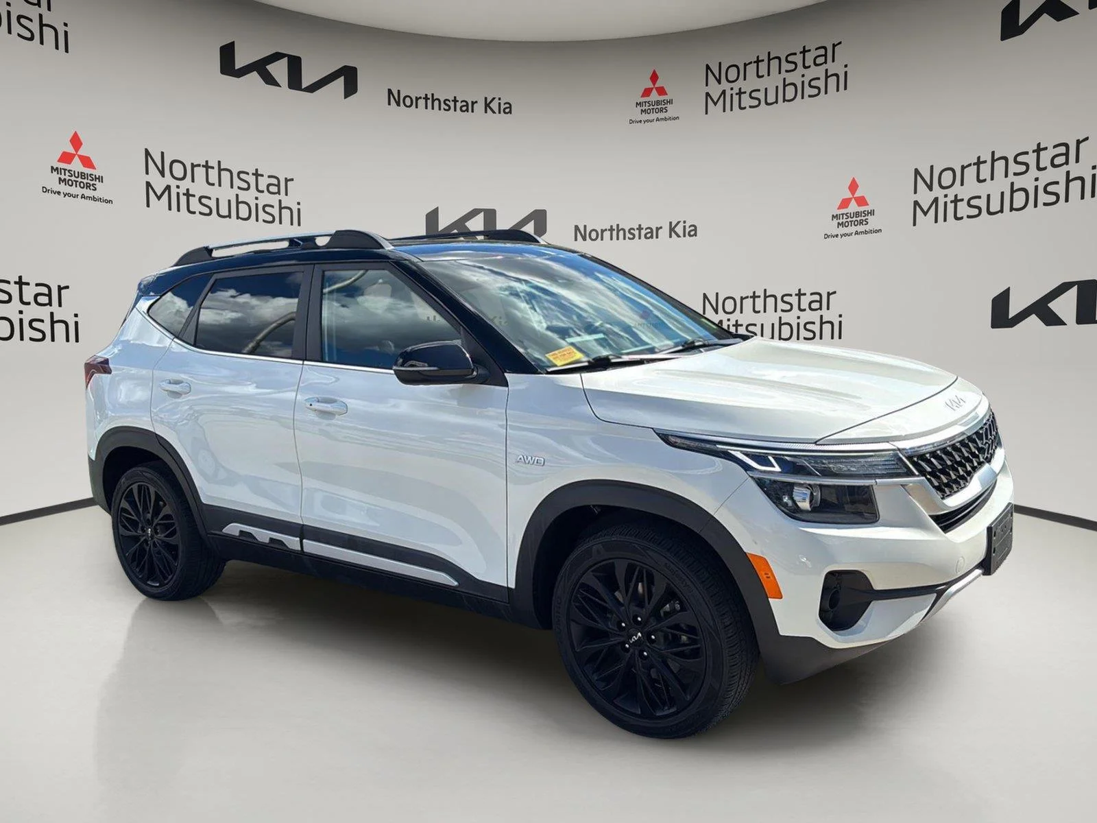 Used 2022 Clear White/Black Roof Kia Nightfall image 14