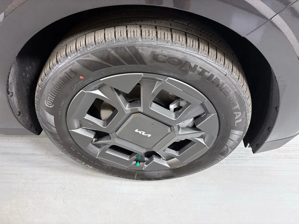 New 2026 Panthera Metal Kia EX image 11