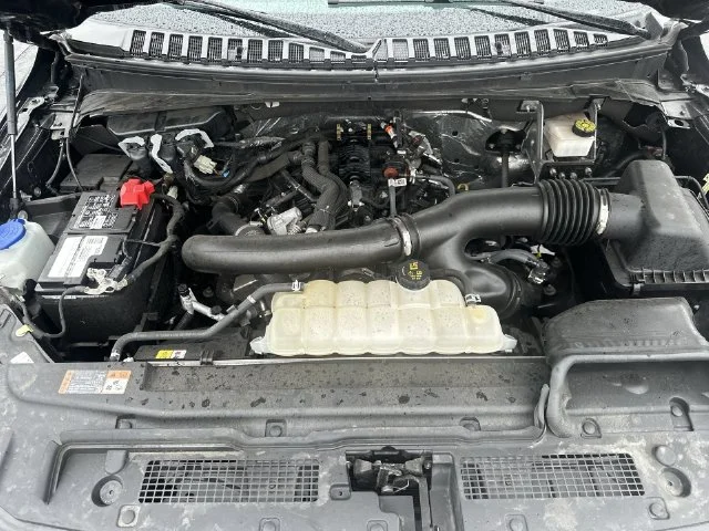 Used 2024 Black Ford XLT image 19