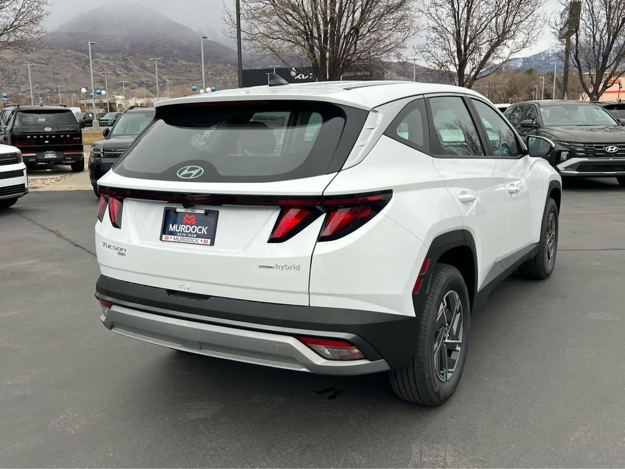 New 2026 Creamy White Pearl Hyundai Blue image 8