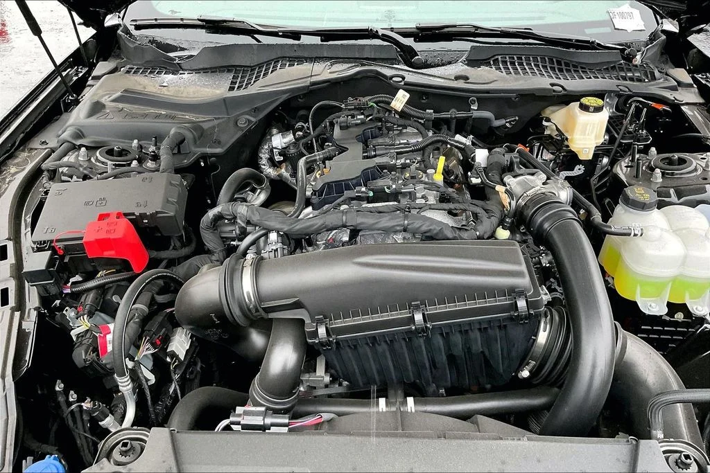 New 2026 Shadow Black Ford EcoBoost® Fastback image 9