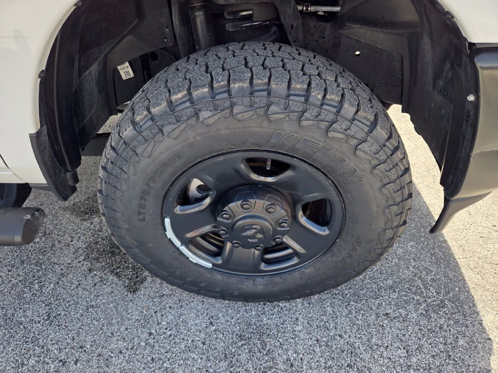 Photo 19