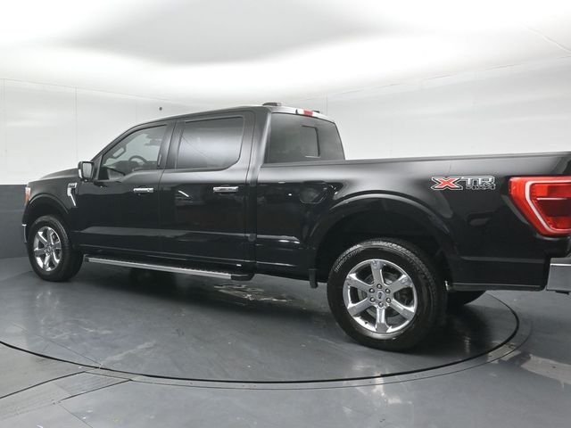 2023 FORD F-150 - Image 4