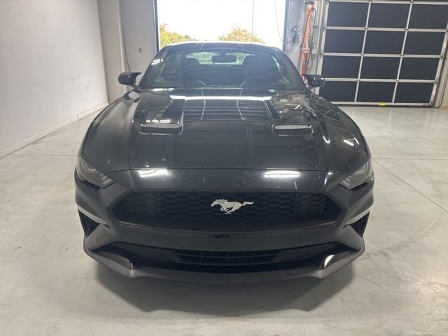 Used 2018 Ford Mustang EcoBoost with VIN 1FA6P8TH0J5135155 for sale in Albany, GA
