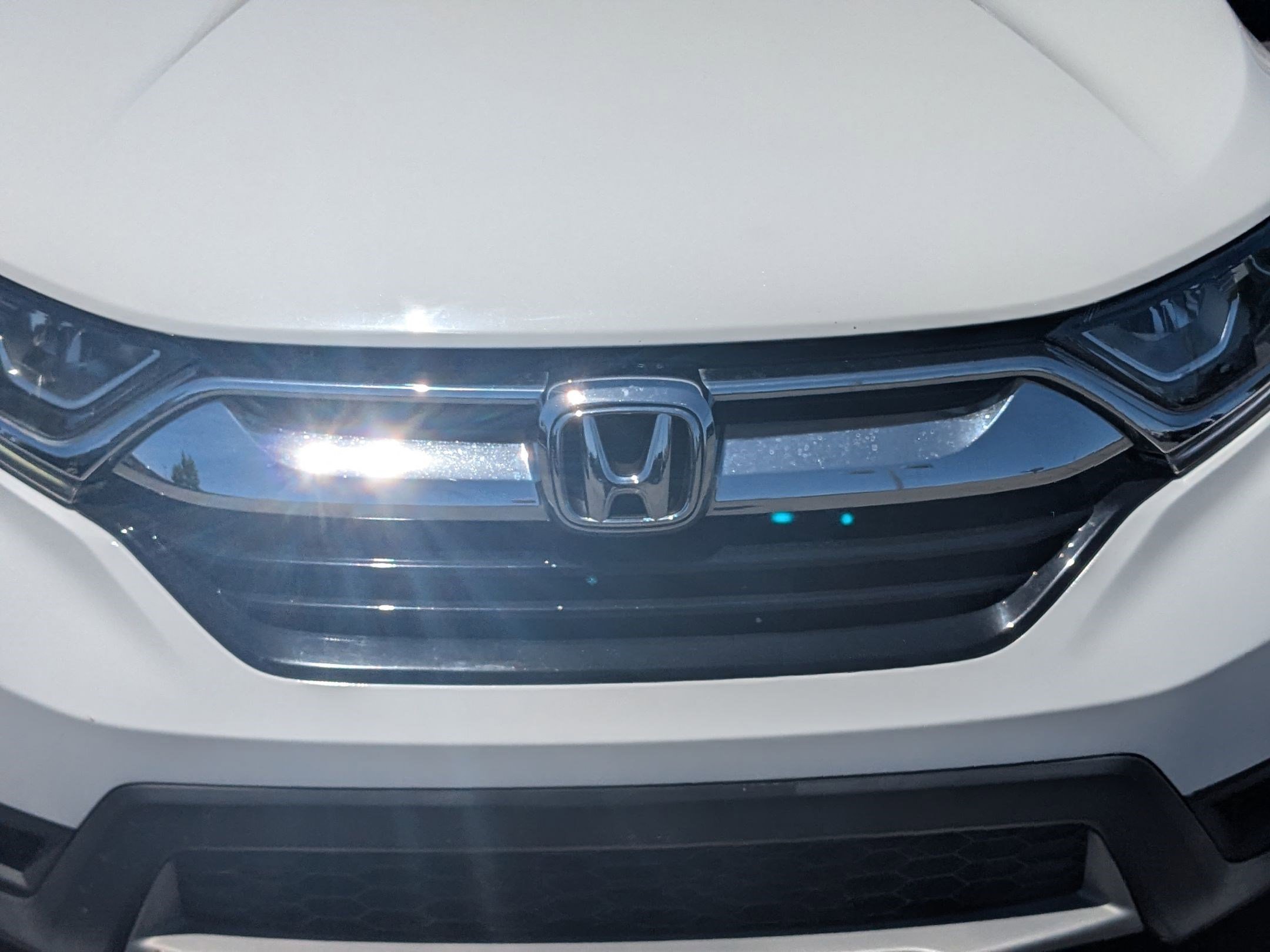 Used 2019 Platinum White Pearl Honda LX image 10