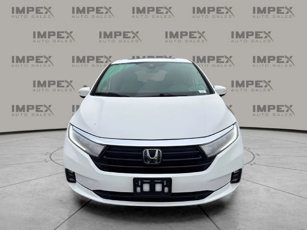 Used 2023 White Honda Elite image 8