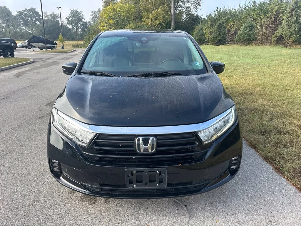 Used 2021 Black Honda Elite image 2