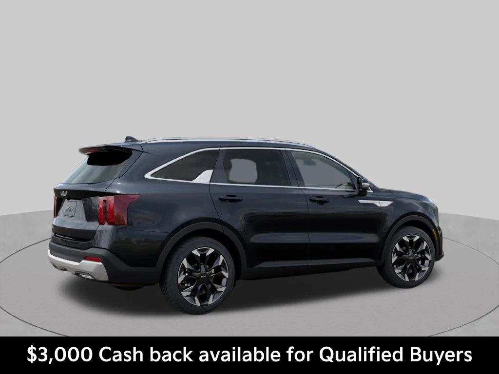 New 2026 Panthera Metal Kia EX image 6