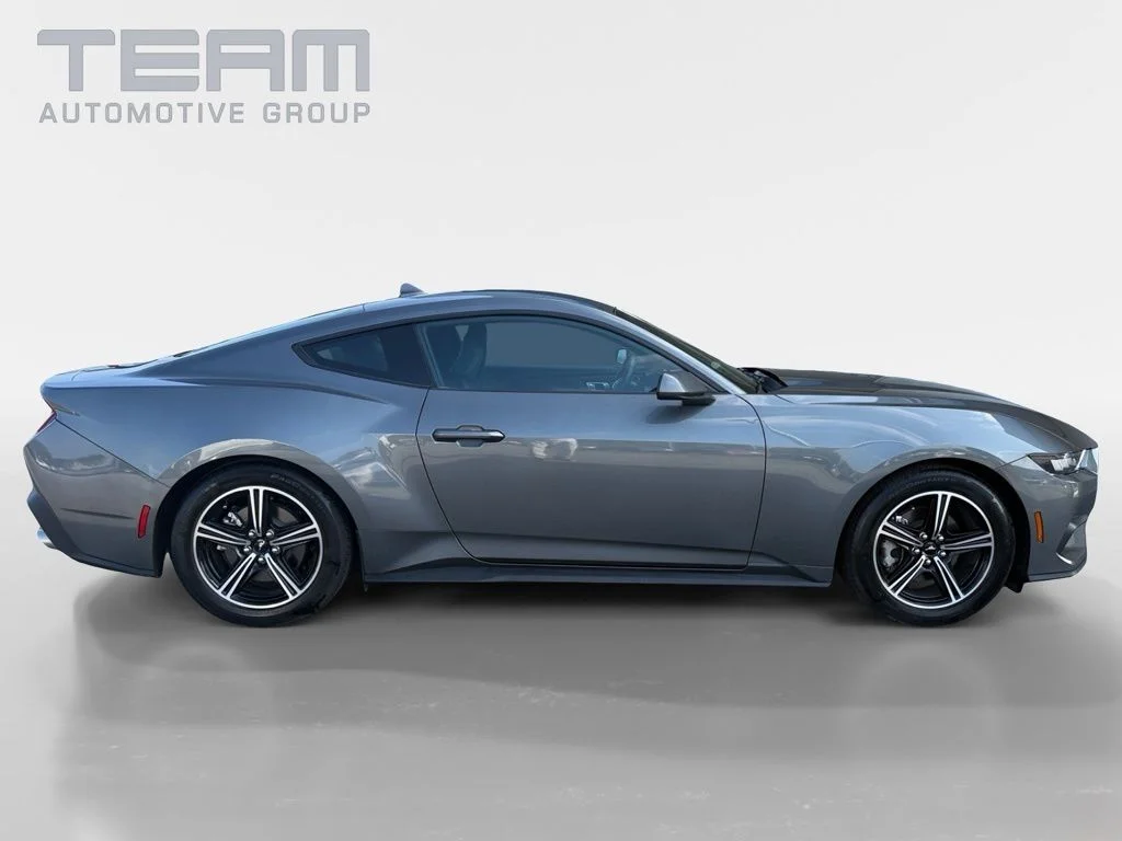 Used 2025 Gray Ford EcoBoost image 8