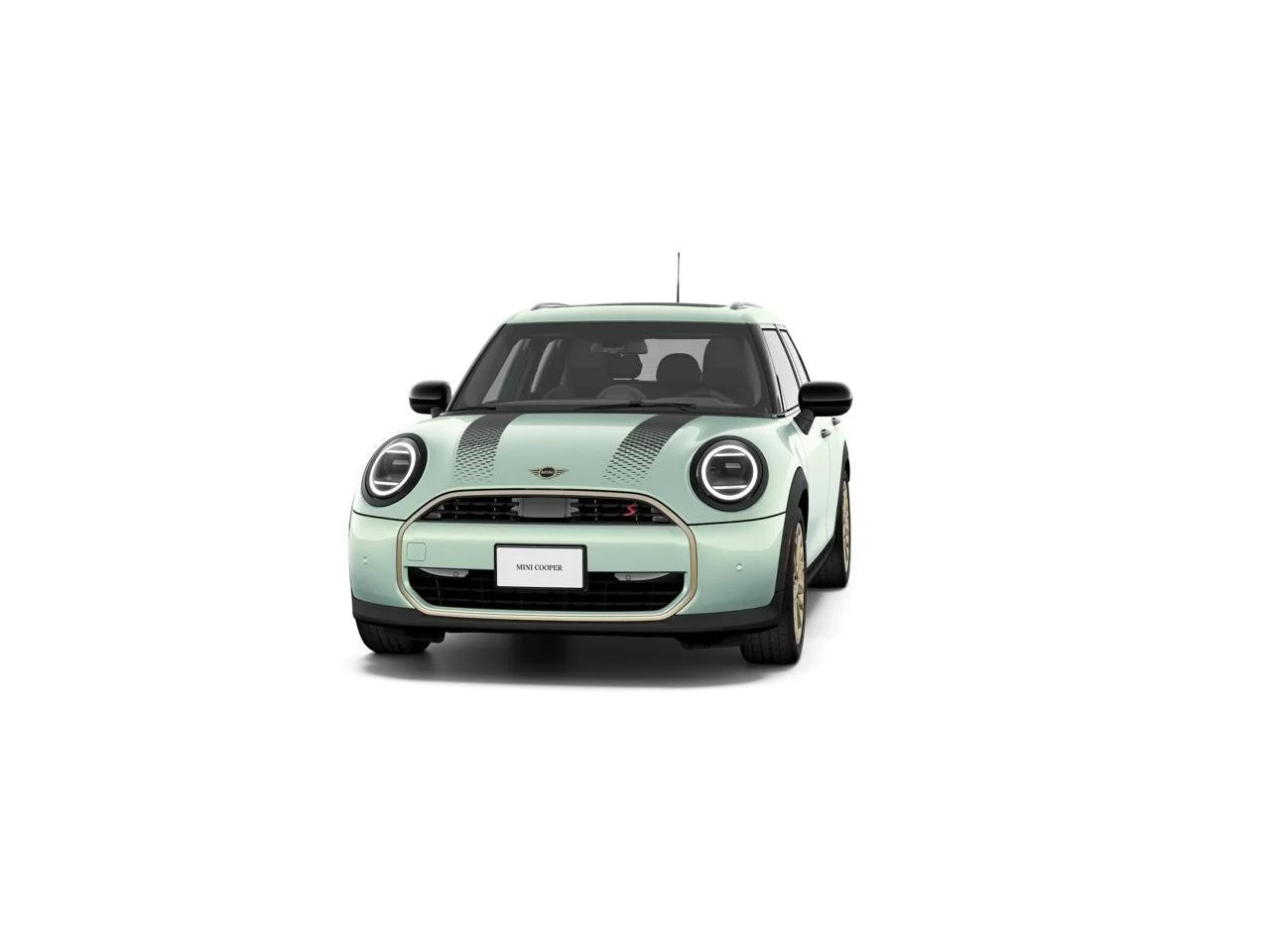 New 2026 Ocean Wave Green Metallic MINI SIGNATURE PLUS image 3