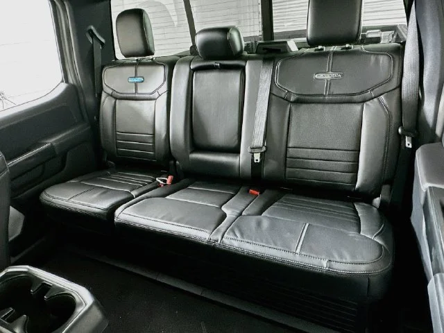 New 2026 White Ford Platinum image 11