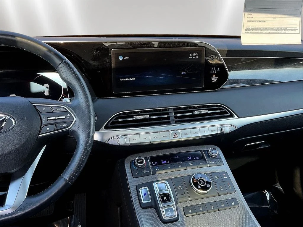 Used 2022 Rainforest Hyundai Calligraphy image 9
