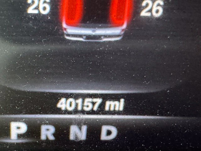 Used 2021 Red Ram Warlock image 4