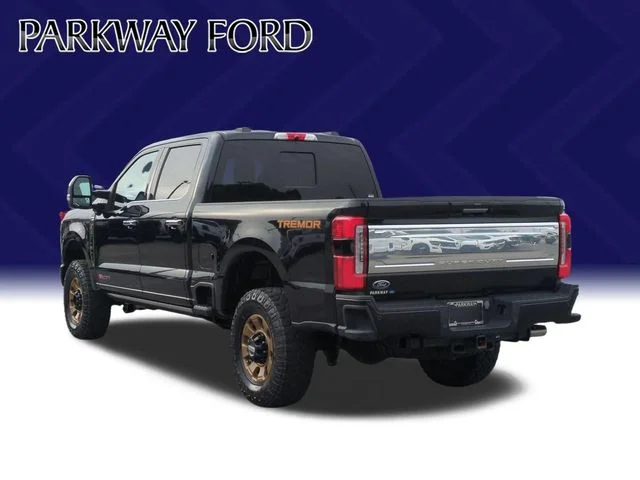 Used 2024 Black Ford Platinum image 3
