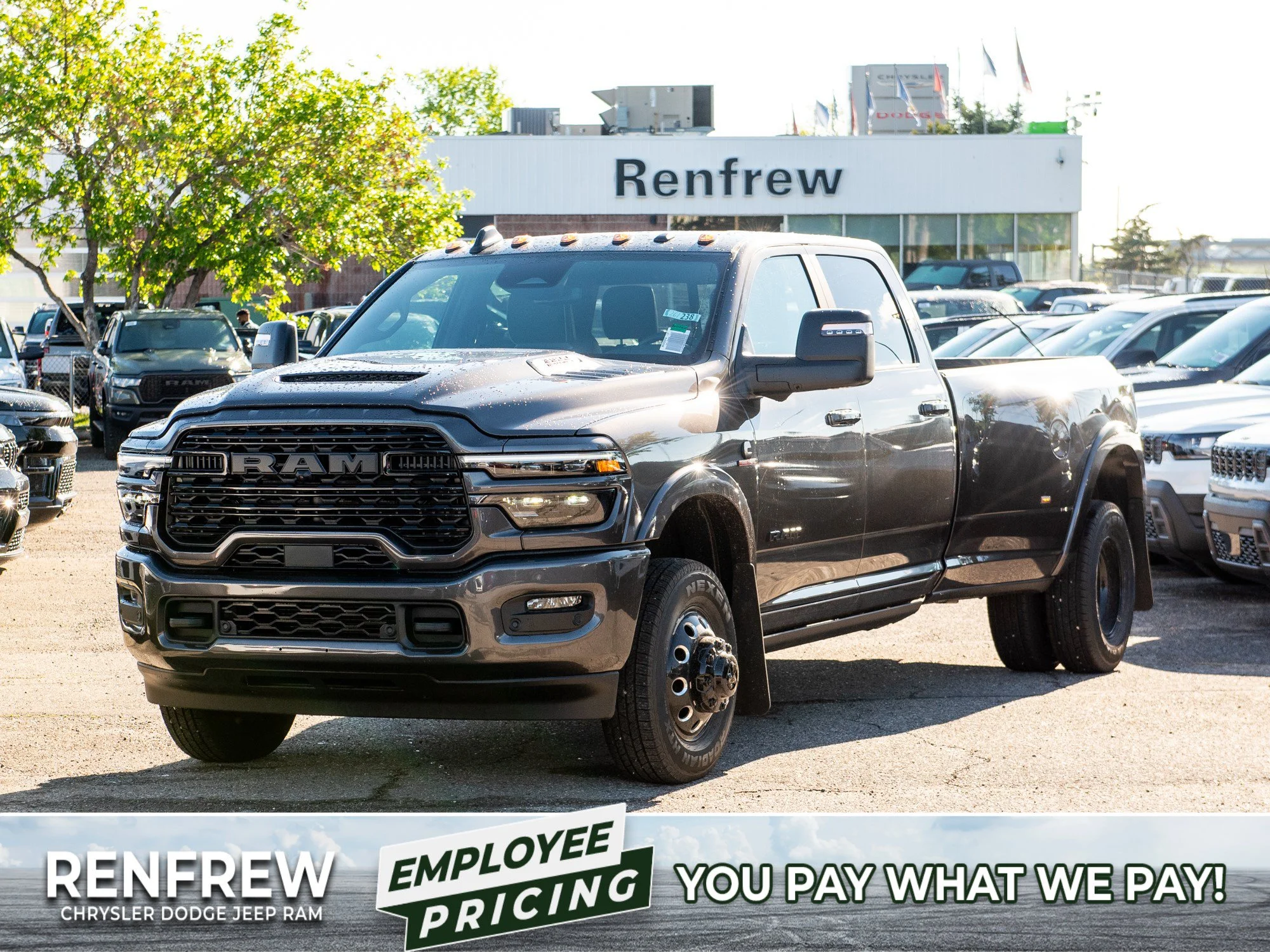 New 2026 Grey RAM Limited* image 1