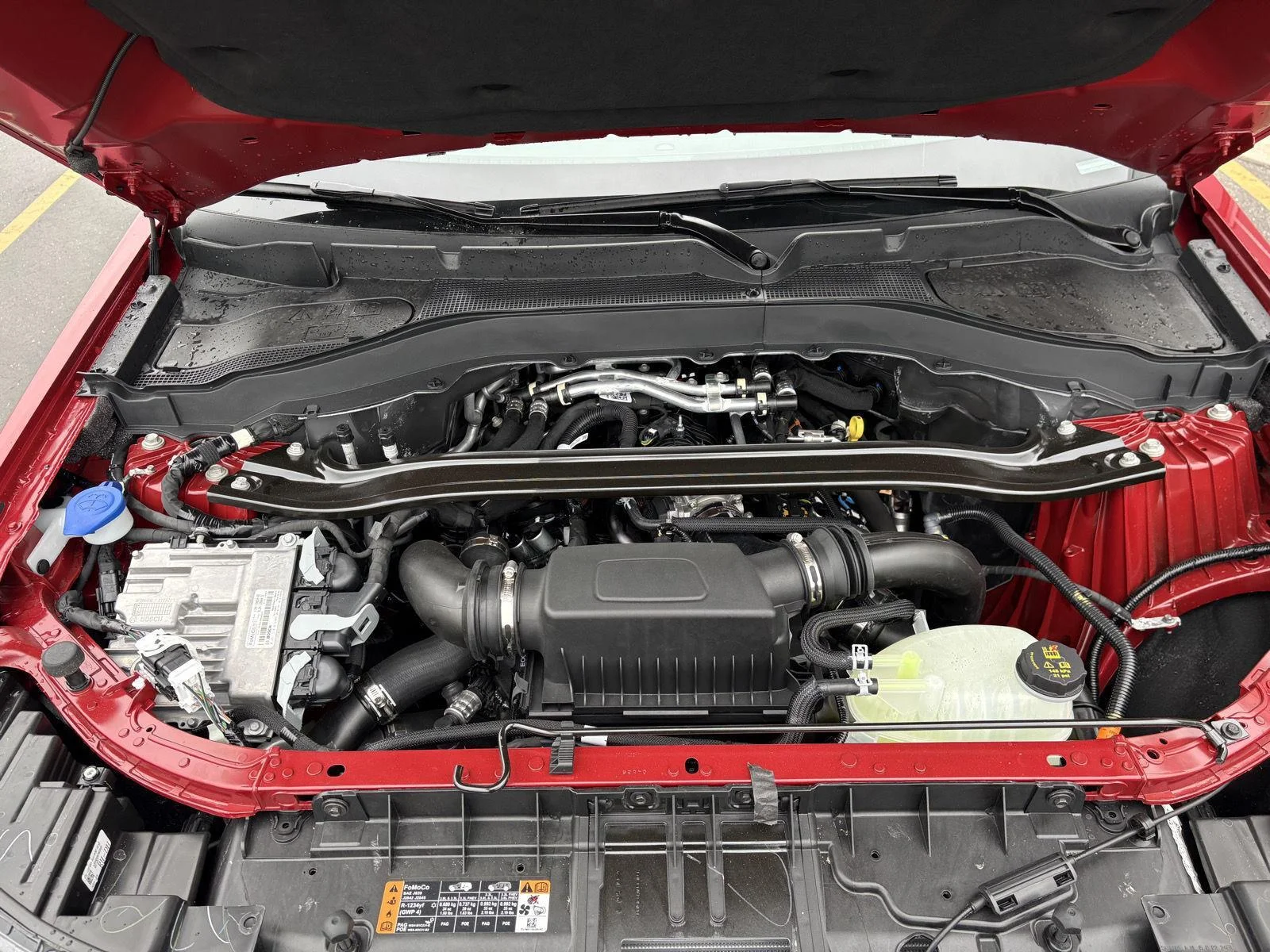 New 2026 Rapid Red Metallic Tinted Clearcoat Ford ST image 26
