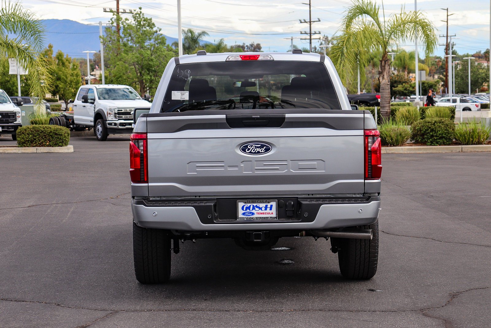 New 2026 Iconic Silver Metallic Ford STX® image 6