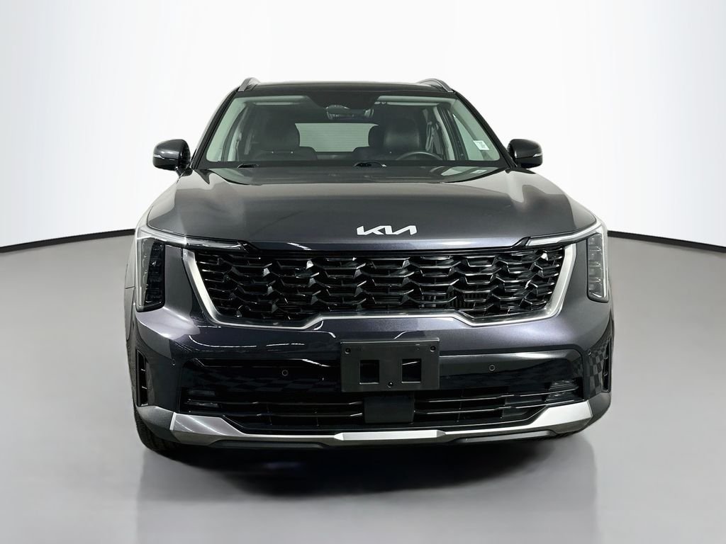 Used 2025 Panthera Metal Kia EX image 3