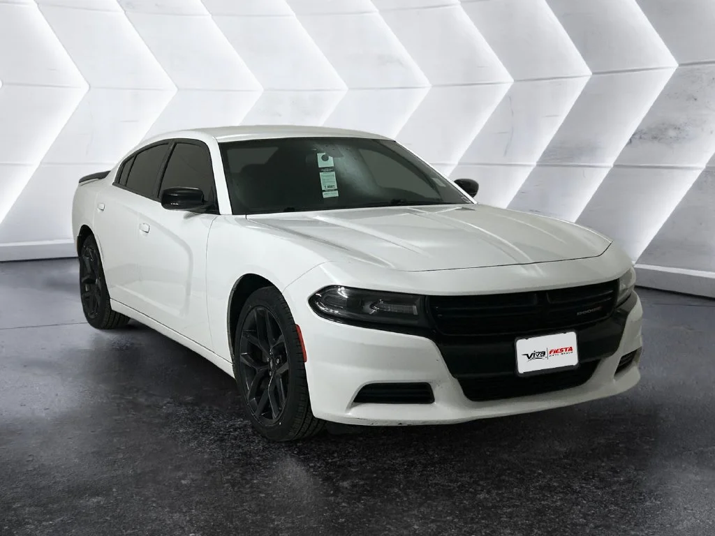 Used 2019 White Dodge SXT image 1