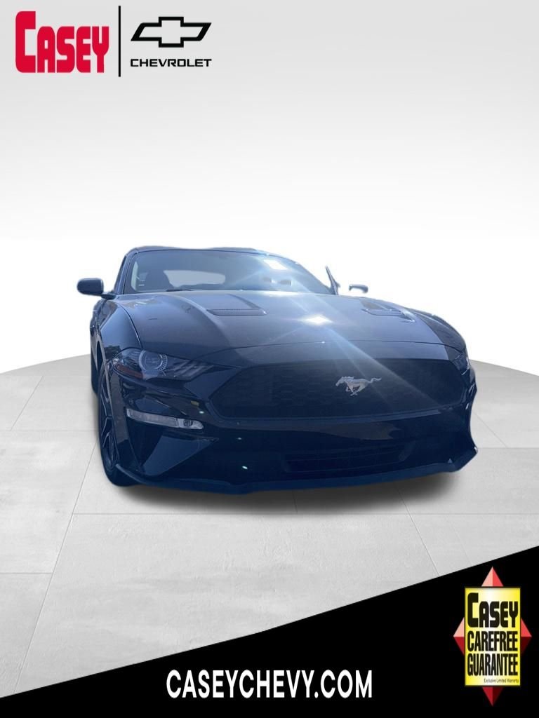 2019 Ford Mustang EcoBoost Convertible Premium's photo