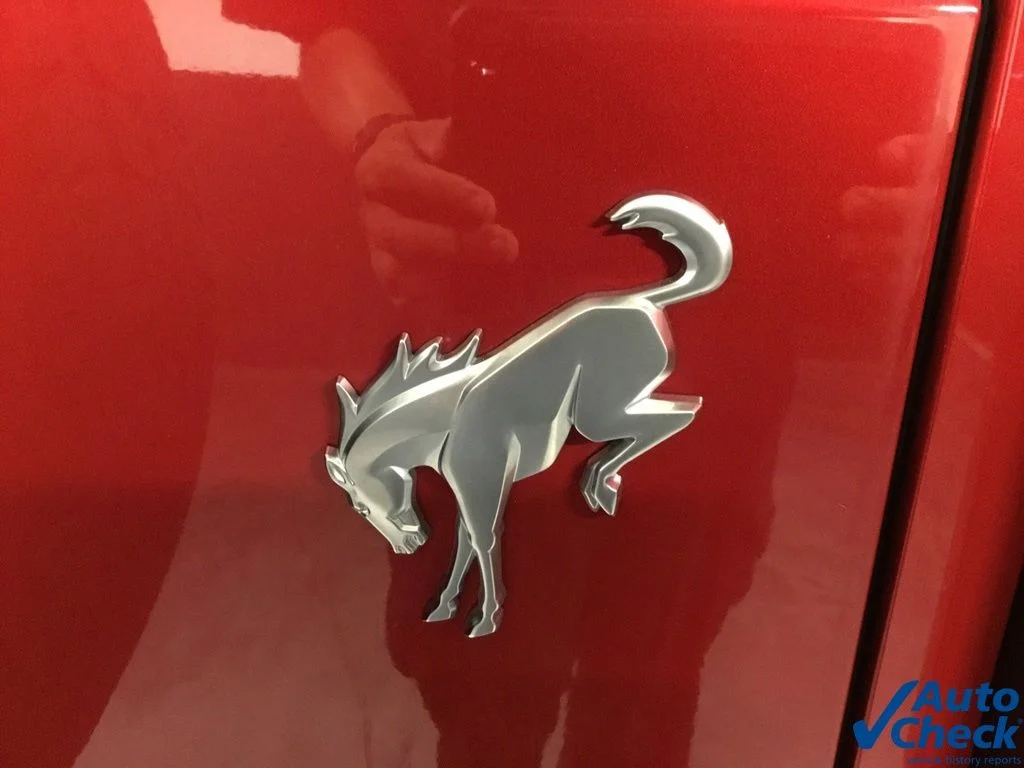 Used 2021 Red Ford Big Bend image 21