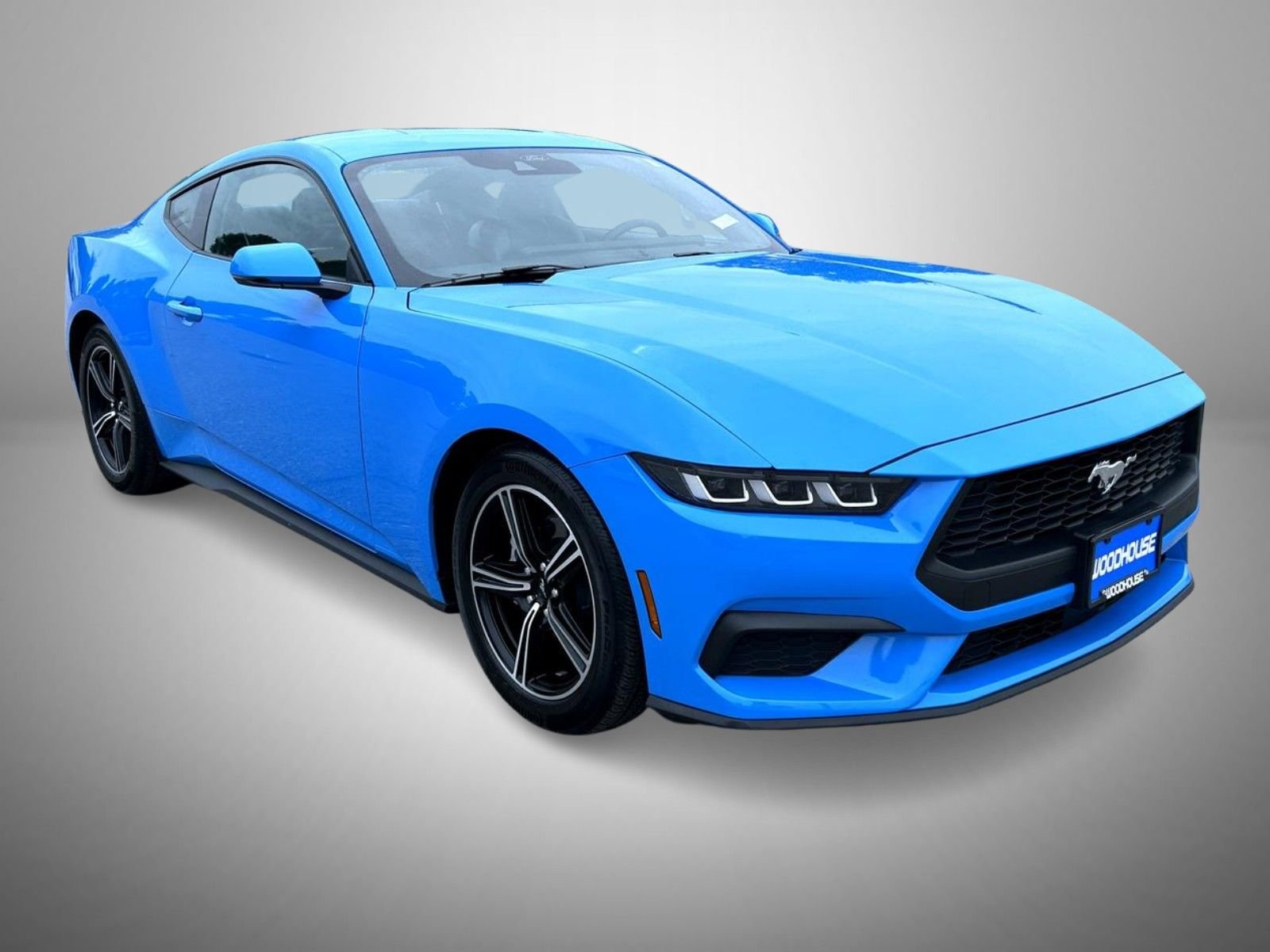 Used 2024 Blue Ford EcoBoost Premium image 3
