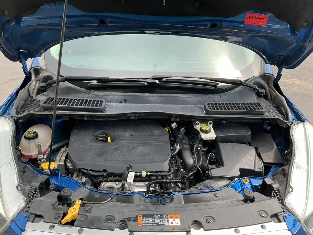 Used 2017 Blue Ford SE image 23