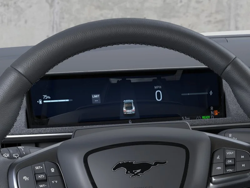 New 2026 Shadow Black Ford Premium image 13