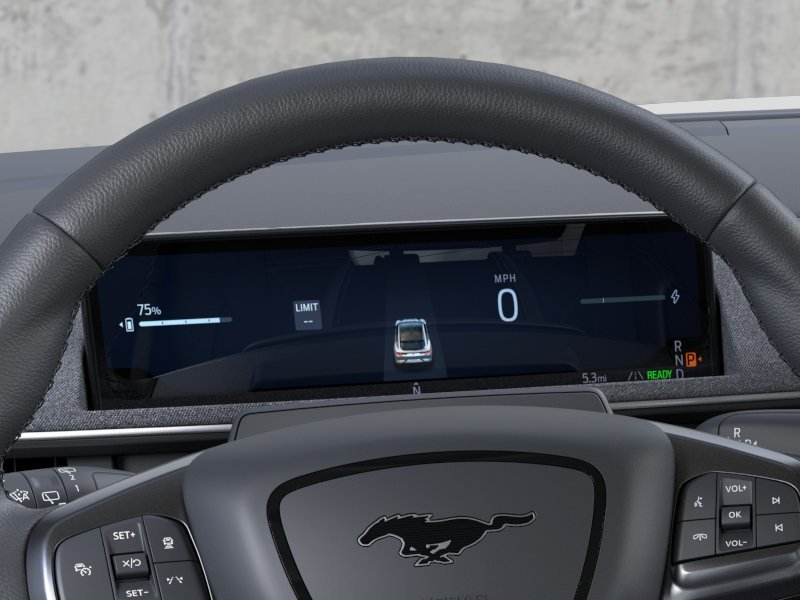New 2026 Shadow Black Ford Premium image 13