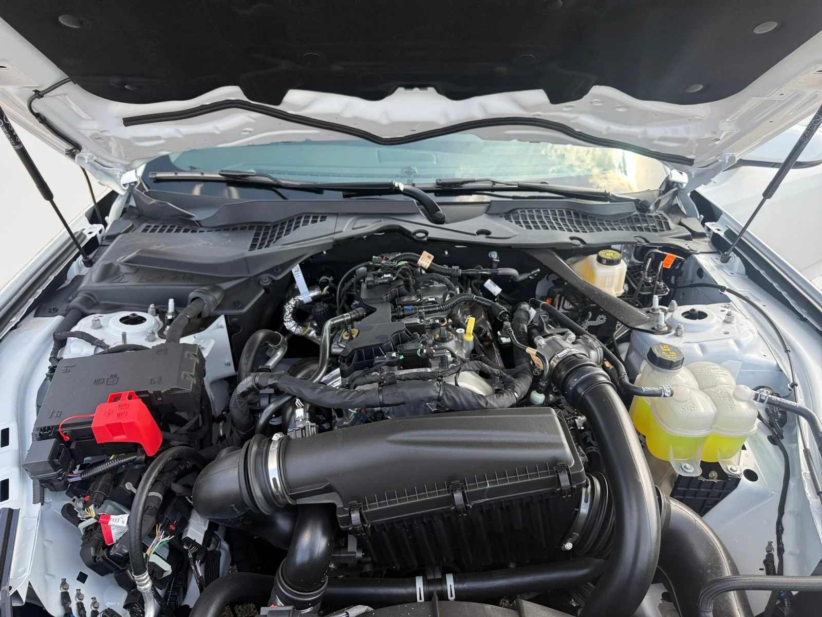 New 2026 Oxford White Ford EcoBoost Premium image 26