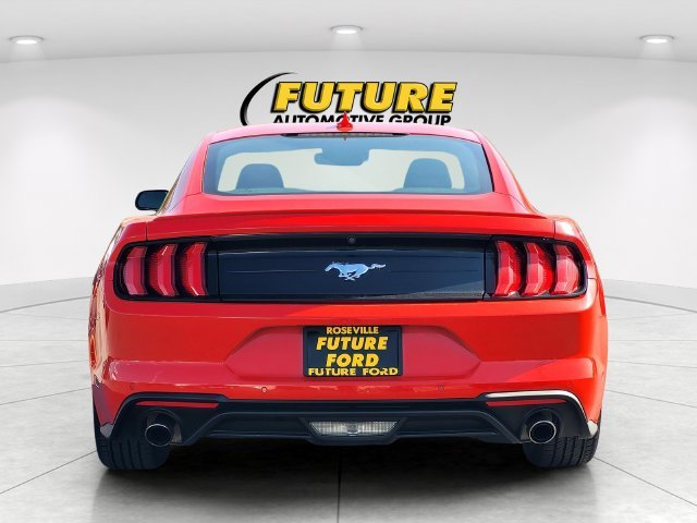 Used 2023 Red Ford EcoBoost Premium image 5